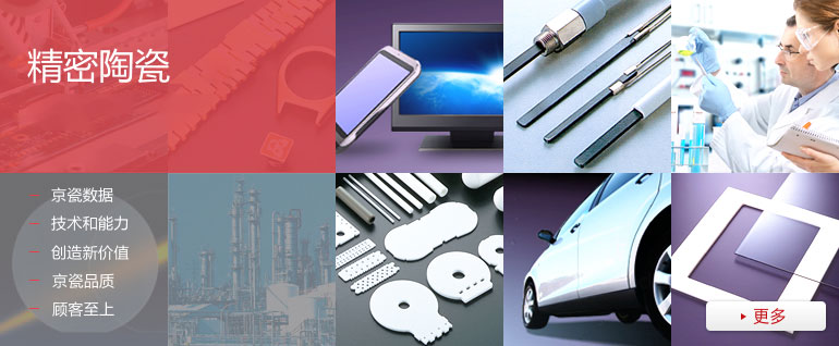 The World Leader in Fine Ceramics