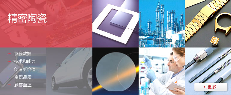 The World Leader in Fine Ceramics